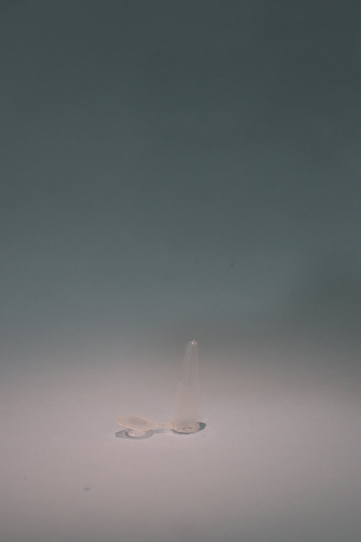 Eppendorf C/Tapa 1.5 ml Pp x100