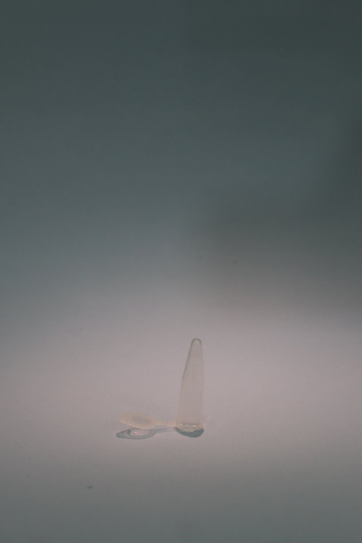 Eppendorf C/Tapa 1.5 ml Pp x100